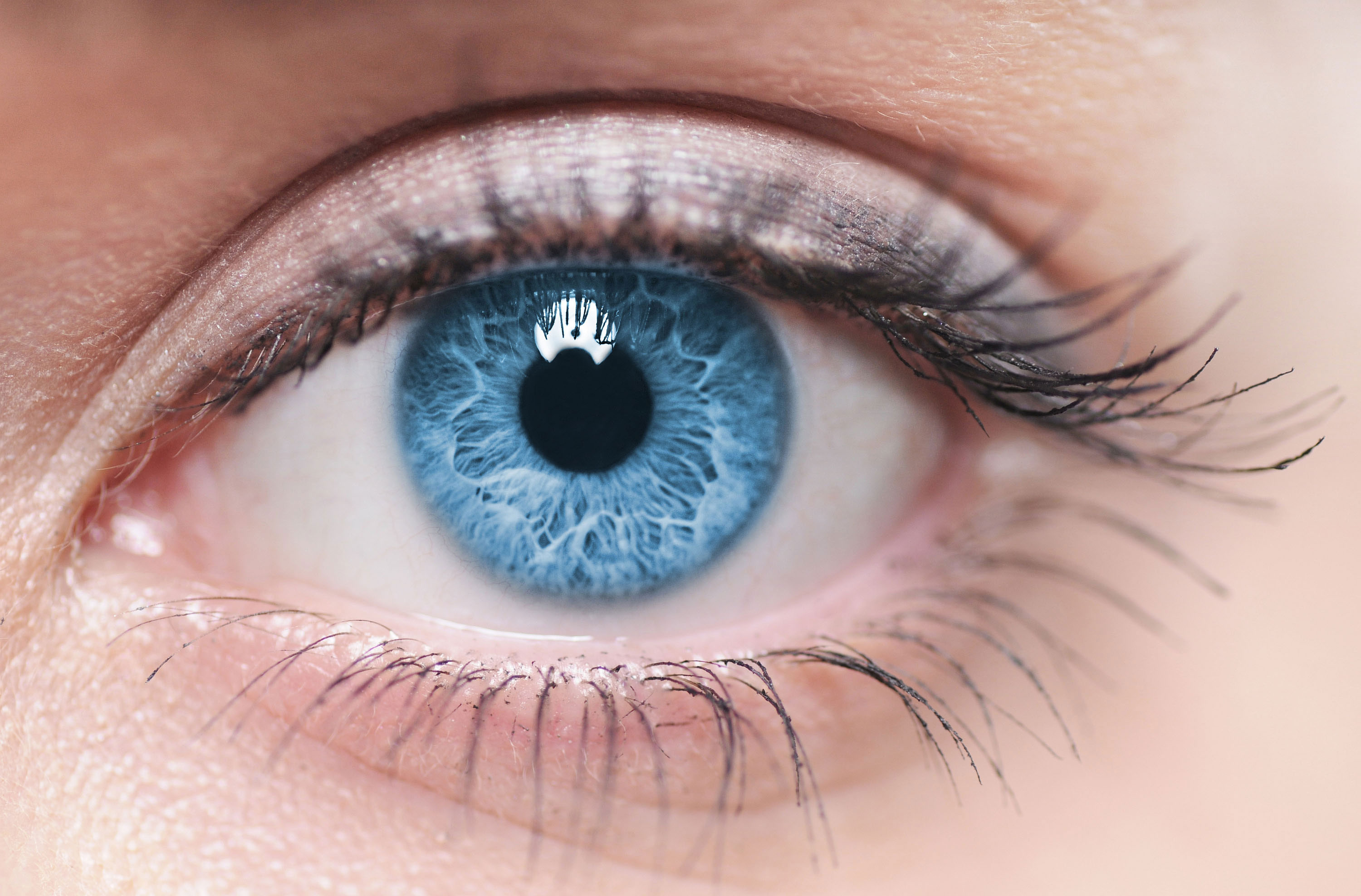 ophthalmology maidstone and tunbridge
