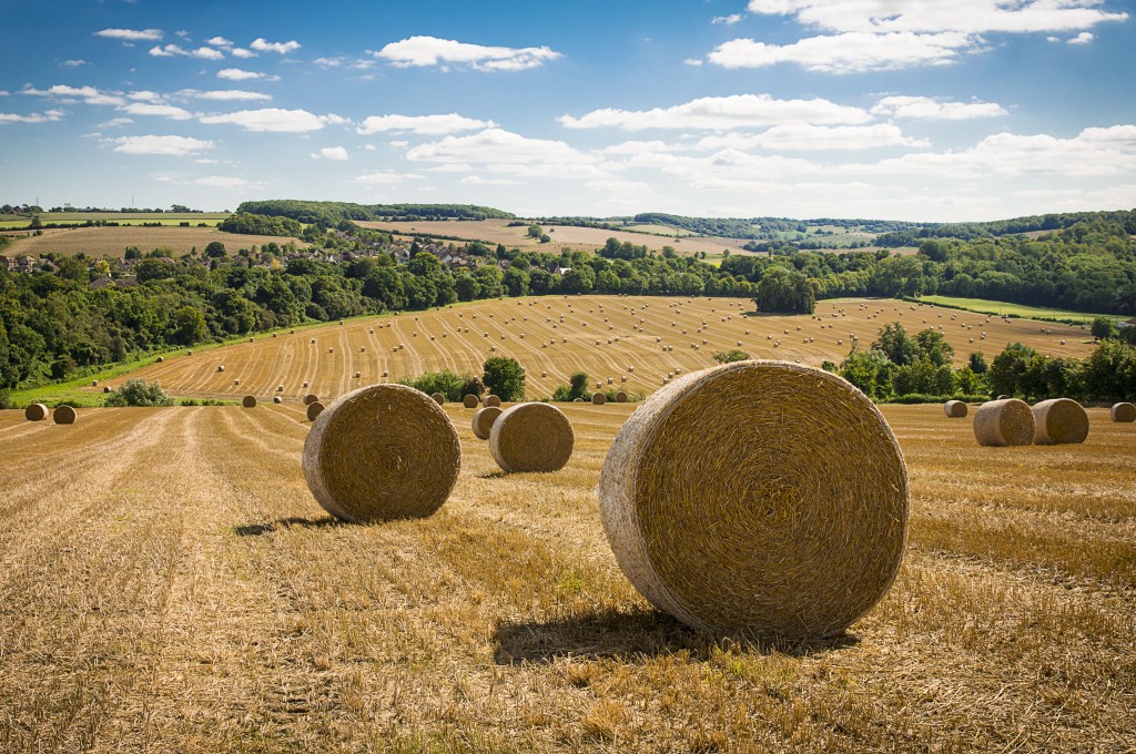 Kent hay bales Maidstone and Tunbridge Wells NHS Trust